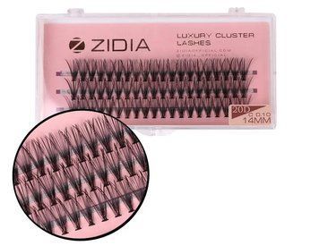 Ресницы накладные пучковые Пламя Zidia Cluster Lashes Flame Series S 0.10 (3 ленты, размер 14 мм) фото