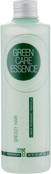 Шампунь для жирного волосся Bbcos Green Care Essence Greasy Hair Shampoo 250 мл фото
