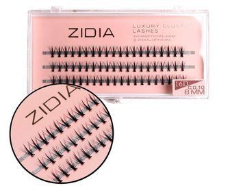Вії накладні пучкові Zidia Cluster Lashes 16D KIM C 0.10 (3 лєнти, розмір 8 мм) фото