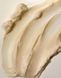 Батер для тіла Tree Hut Tropic Glow Whipped Body Butter 240 г 1837516903 фото 3