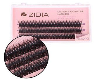 Ресницы накладные пучковые рыбий хвост Zidia Cluster Lashes Fish Tail 24D C 0.10 (3 ленты, размер 12 мм) фото