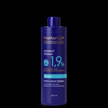 Жидкий окислитель Master LUX professional 1,9% 250 мл фото
