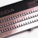 Ресницы накладные пучковые Пламя Zidia Cluster Lashes Flame Series C 0.10 (3 ленты, размер 6 мм) 110040 фото 2