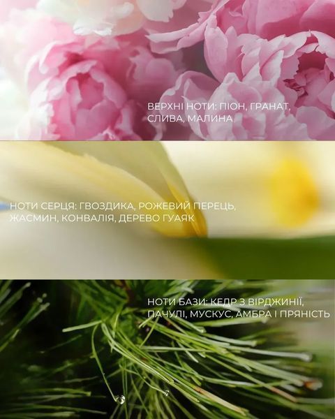 Крем для рук парфюмированный с пептидами Dott Hand Cream Lush 30 мл фото