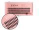 Вії накладні пучкові Zidia Cluster Lashes 16D KIM C 0.10 (3 лєнти, розмір 10 мм) 110075 фото 1