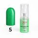 Спрей для омбре ROKS Express Ombre Spray №5 Color 7,5 г 2350048120 фото 1