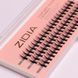 Вії накладні пучкові Zidia Cluster Lashes 16D KIM C 0.10 (3 лєнти, розмір 10 мм) 110075 фото 2