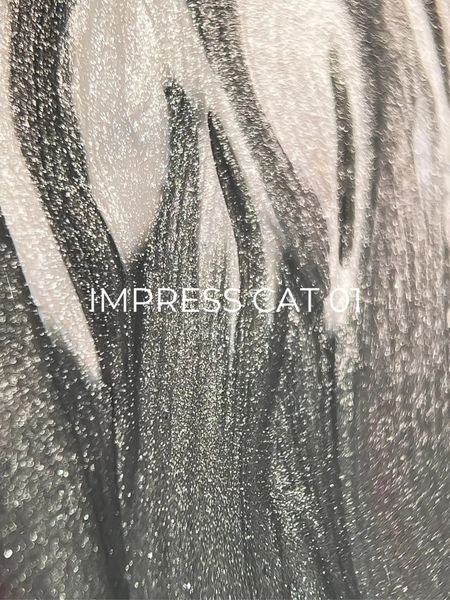 Гель-лак Edlen Impress Cat Eye №01 9 мл фото