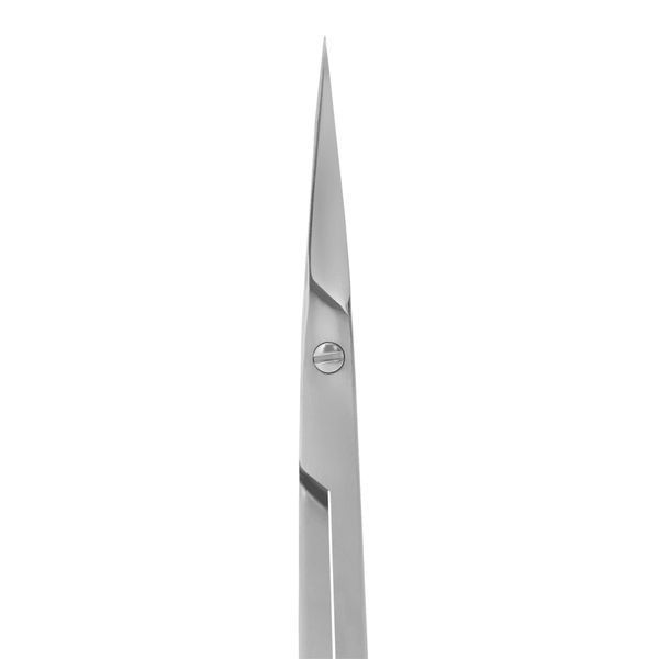 SS-41/3 Ножиці професійні з гачком для кутикули Staleks Smart 41 Type 3 фото