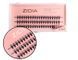 Вії накладні пучкові Zidia Cluster Lashes 16D KIM C 0.10 (3 лєнти, розмір 9 мм) 110074 фото 1