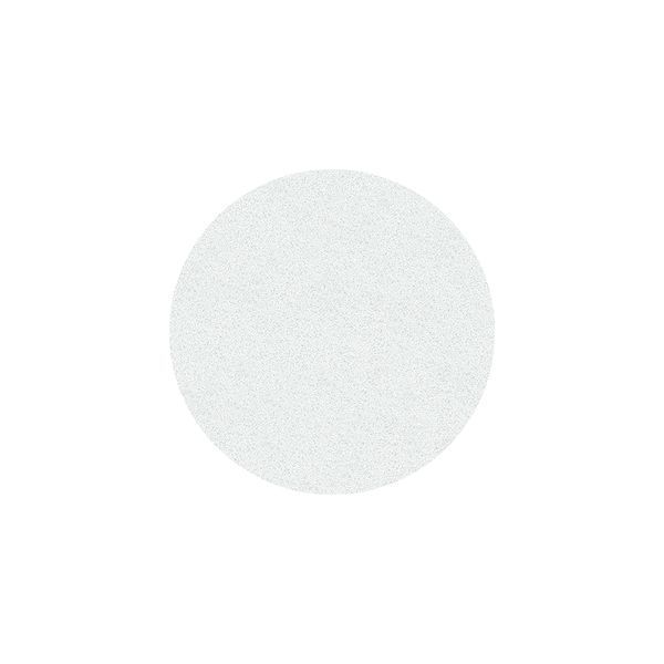 Сменные файлы для педикюрного диска Pododisc Staleks Pro M 320 грит 50 шт белые фото