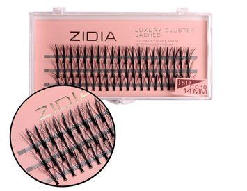 Вії накладні пучкові Zidia Cluster Lashes 16D KIM C 0.10 (3 лєнти, розмір 14 мм) фото